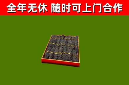 齐齐哈尔市回收海参